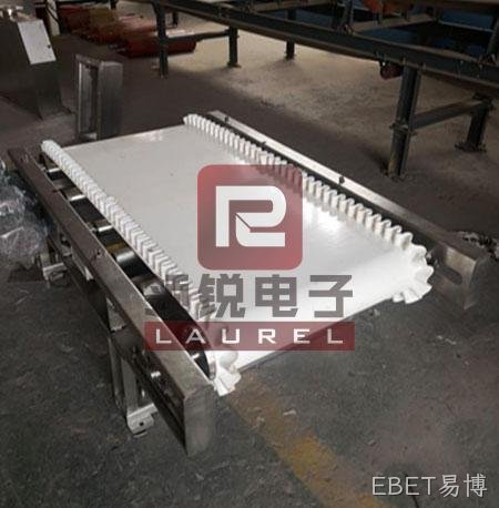 不锈钢防水皮带秤 不锈钢防水皮带秤
